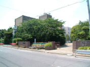 湊小学校