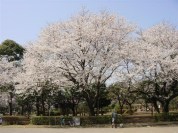 御滝公園