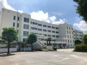薬円台南小学校